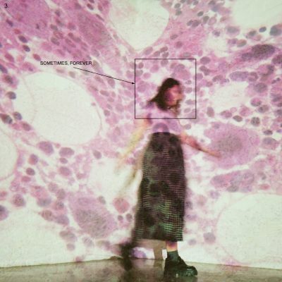 【Soccer Mommy】6/24発売のALから新曲「newdemo」を公開！